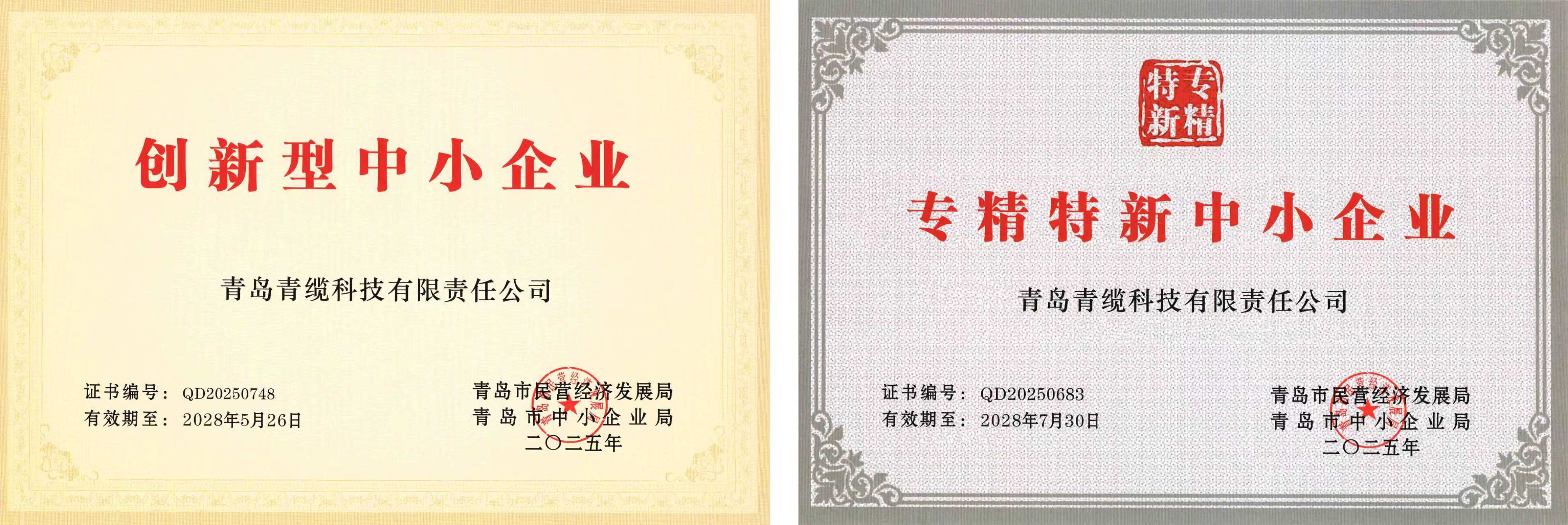 青纜獲評(píng)“創(chuàng)新型中小企業(yè)”并順利通過“專精特新中小企業(yè)”復(fù)評(píng)(圖1)